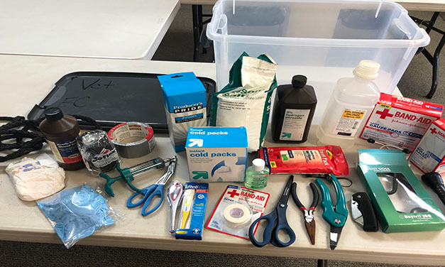 Livestock_first_aid_kit 🩺 Veterinary First Aid Kit for Mini Highland Cows – Be Ready for Any Bump or Bruise! 🐮